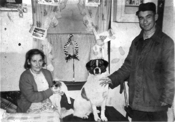 474: Mary Jane (Northover) Mulrooney and her son Pat, with Scott the dog, at Red Island. (circa early 1950s)  [courtesy of Berkley Mulrooney]  - Mary Jane daughter of John Northover &amp;amp; Margaret Murphy, married Patrick Mulrooney